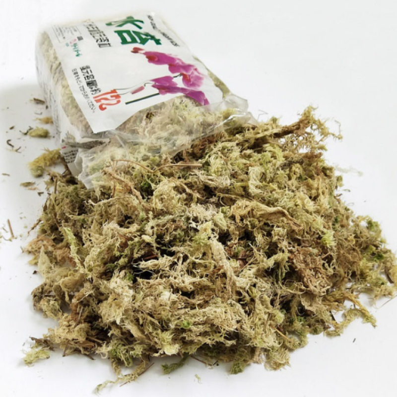 Dried Moss Factory - 150g Home-Packed Sphagnum Moss Peat Moss