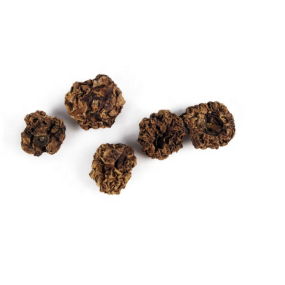 Silvervine Fruits Manufacturer - 100% Organic Dried Actinidia Polygama Insect Gall Natural