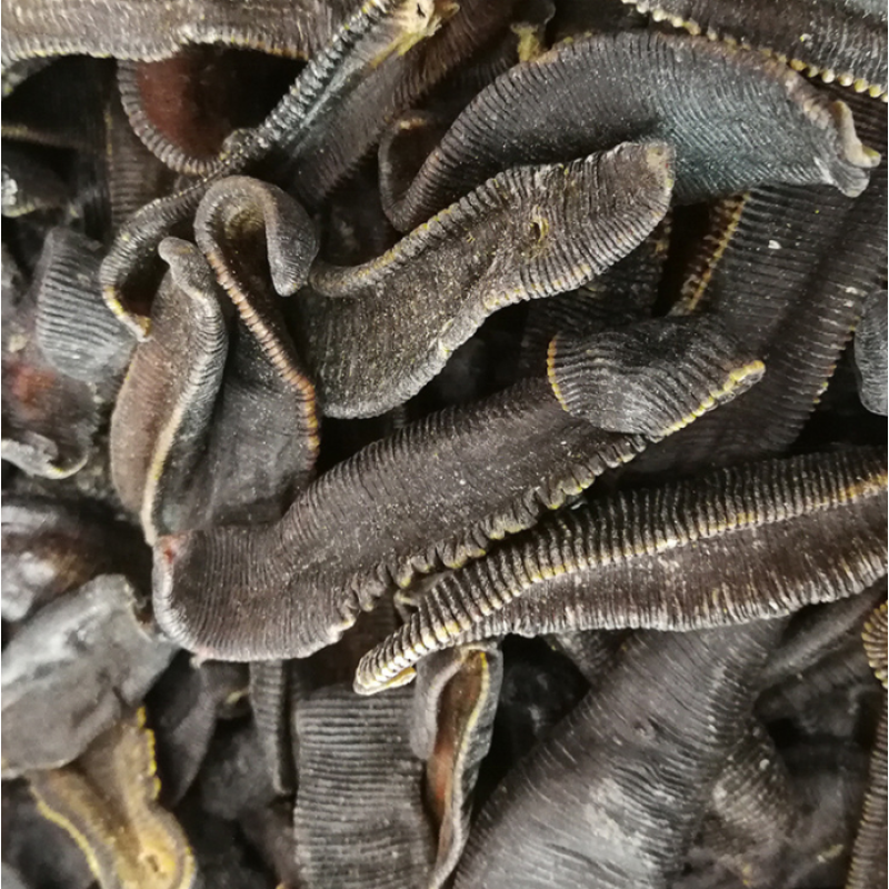 Dried Leeches Supplier - Natural Shui Zhi Chinese Dried Hirudo for Wholesale