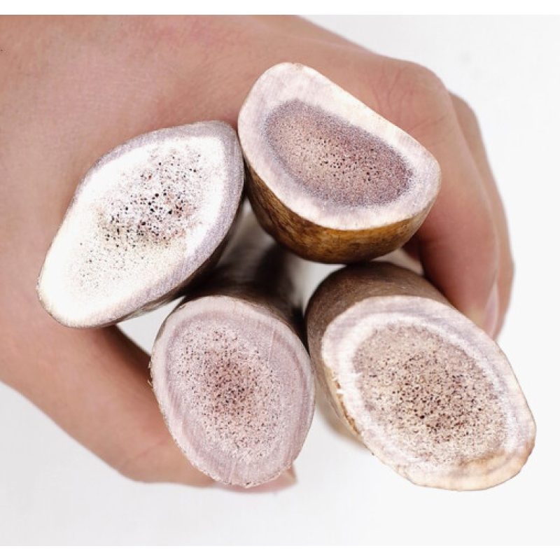 Deer Antler Chew Factory - Chinese Sika Deer Antler Chew Stick for Dog Cat Molar Eco