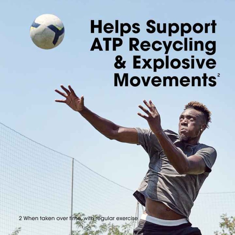 Creatine Powder Factory - OEM Custom Sports Nutrition