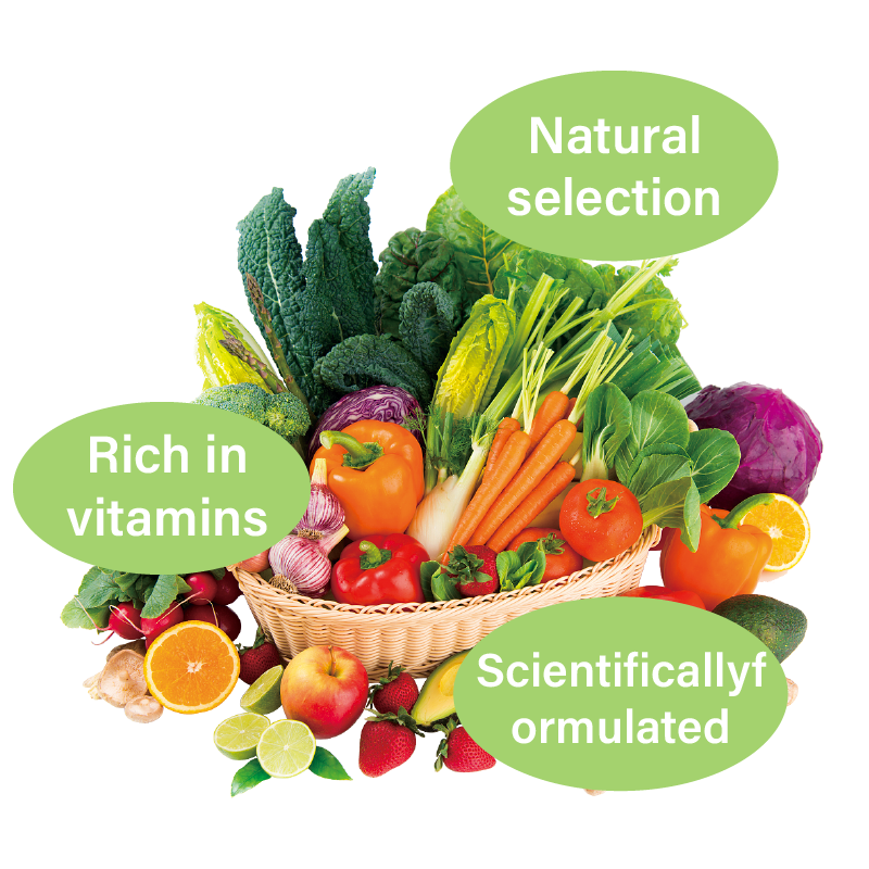 Enzyme Beverage Factory - OEM Custom Gastrointestinal Health