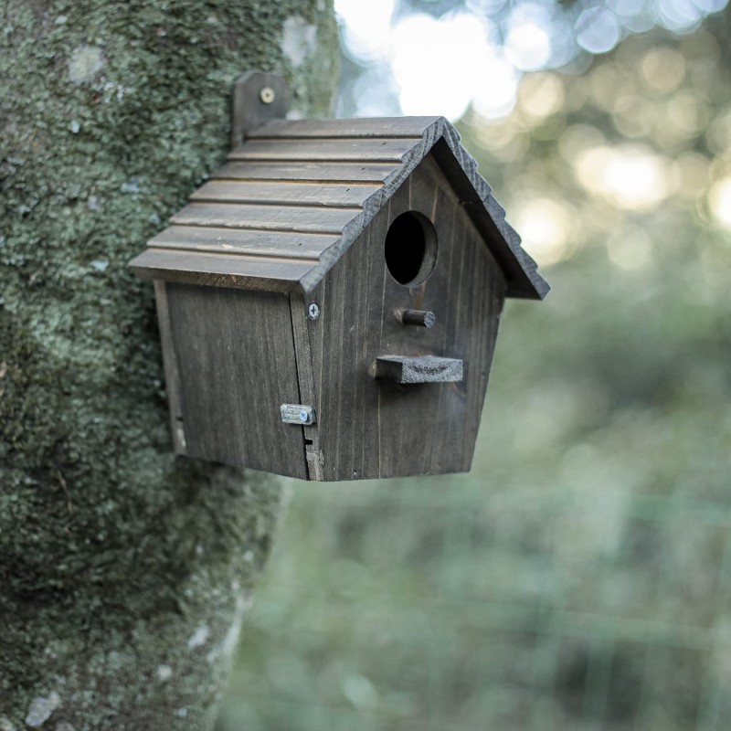 Outside Birdhouse Factory - JUNJI Outside with Pole Wooden Bird House for Finch Bluebird