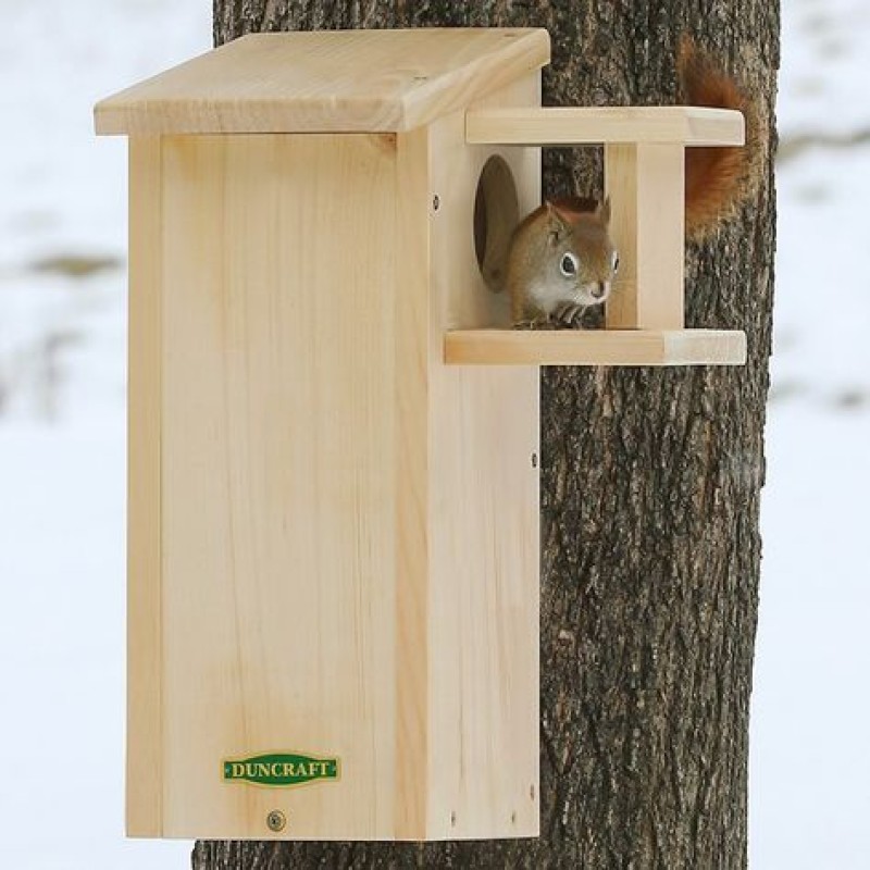 Wooden Nesting Box Supplier - JUNJI Multi-function Wood Pet House for Small Animals