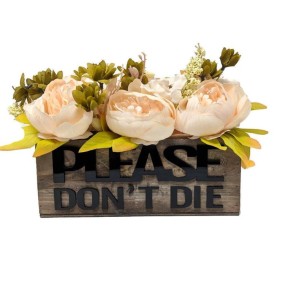 Home Decorative Box Manufacturer - JUNJI Wood Planter Box Funny Planter Home Decor