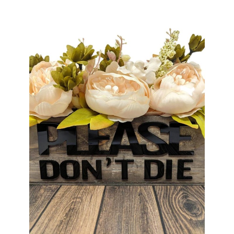 Home Decorative Box Manufacturer - JUNJI Wood Planter Box Funny Planter Home Decor