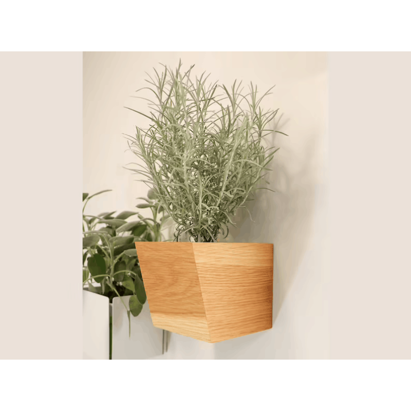 Wooden Flower Pots Factory - JUNJI Planters for Succulents Wall Mounted Indoor Outdoor