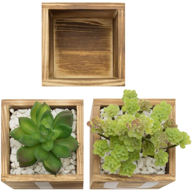 Flower Pots Supplier - 3-Piece Wood Square Succulents Pots for Indoor Home Decor