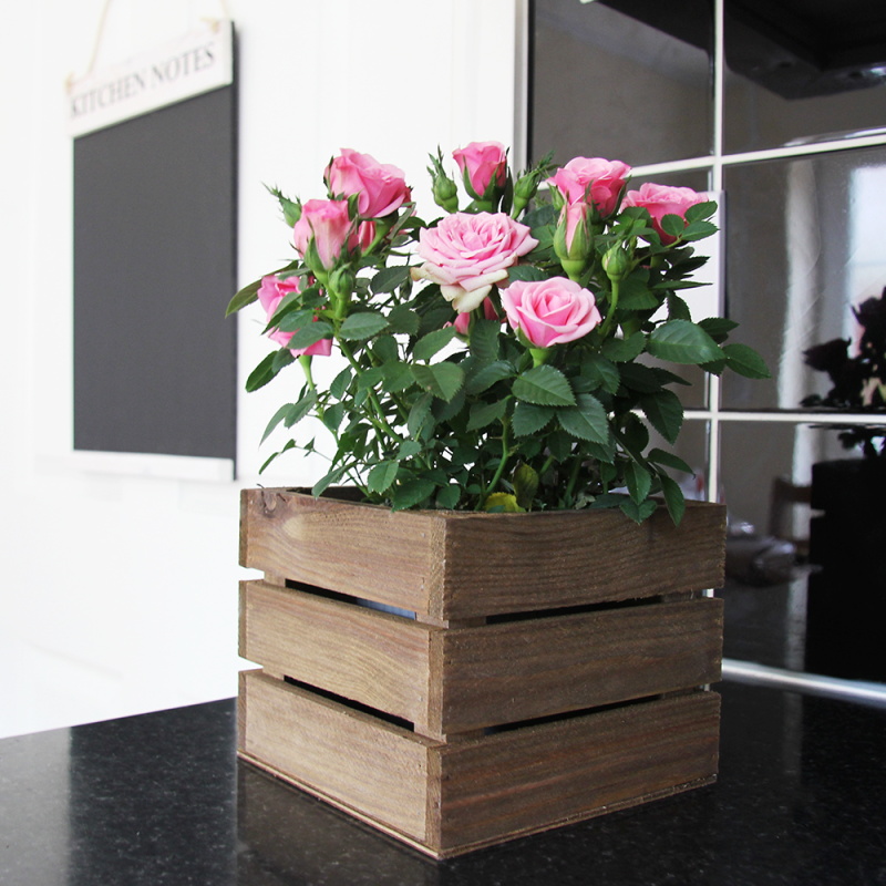 Small Crate Box Factory - Small Square Wooden Crate Box Custom Wooden Gift Box Beer