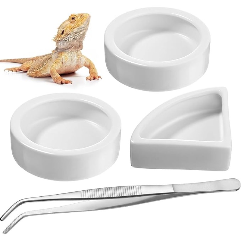 Reptile Dish Set Manufacturer - Anti Slip Feeding Bowl Hideout