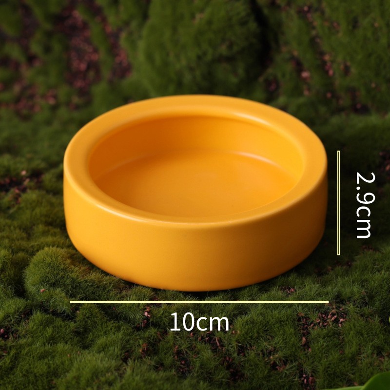 Reptile Food Bowl Factory - Ceramic Anti Escape Feeder