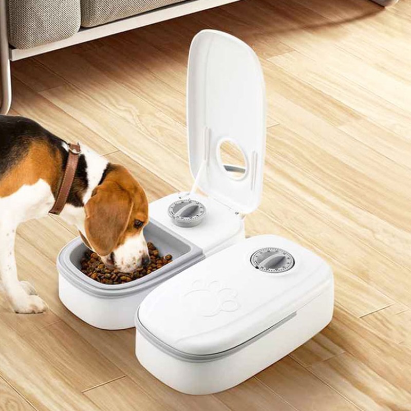 Automatic Dog Feeder Factory - Timed Dual Food Dispenser
