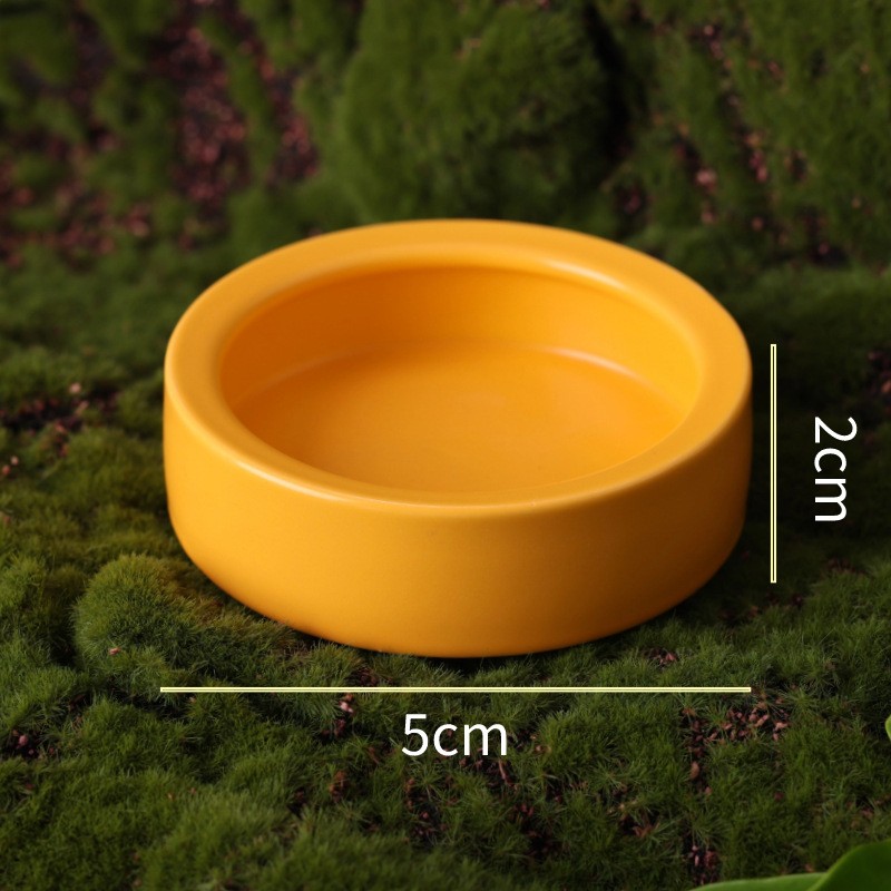 Reptile Food Bowl Factory - Ceramic Anti Escape Feeder