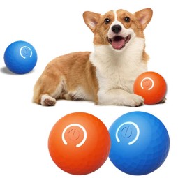Pet Training Ball Factory - Electric Bouncing Interactive