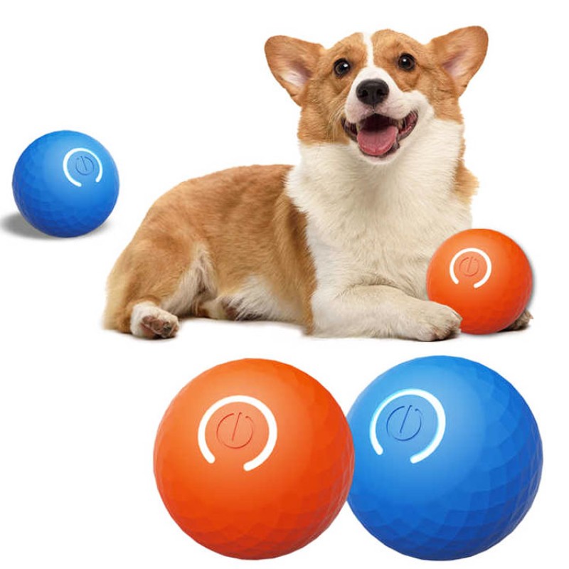 Pet Training Ball Factory - Electric Bouncing Interactive