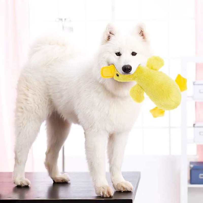 Dog Slow Feeder Supplier - Duck Squeaky Interactive