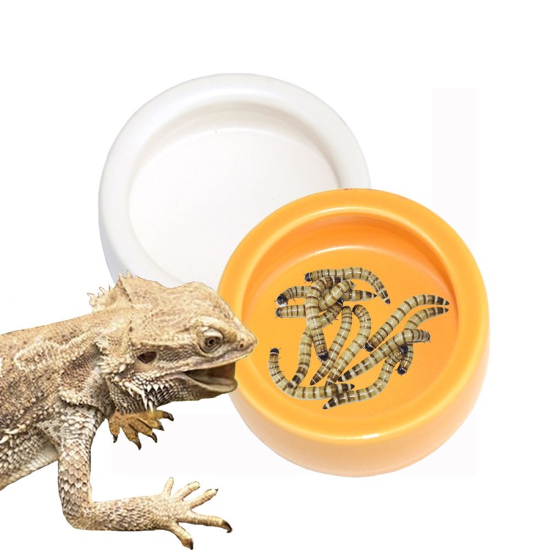 Reptile Food Bowl Factory - Ceramic Anti Escape Feeder