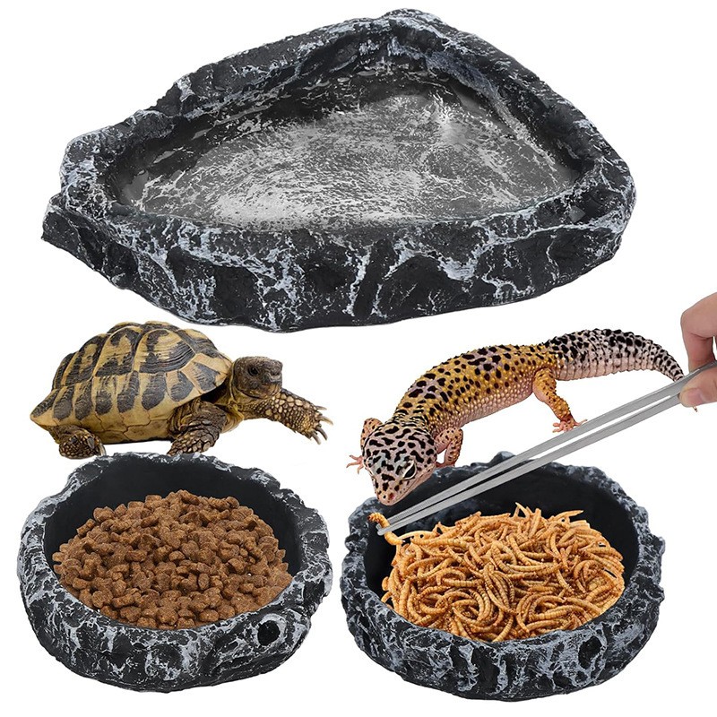 Reptile Feeding Dish Manufacturer - Multi Species Terrarium