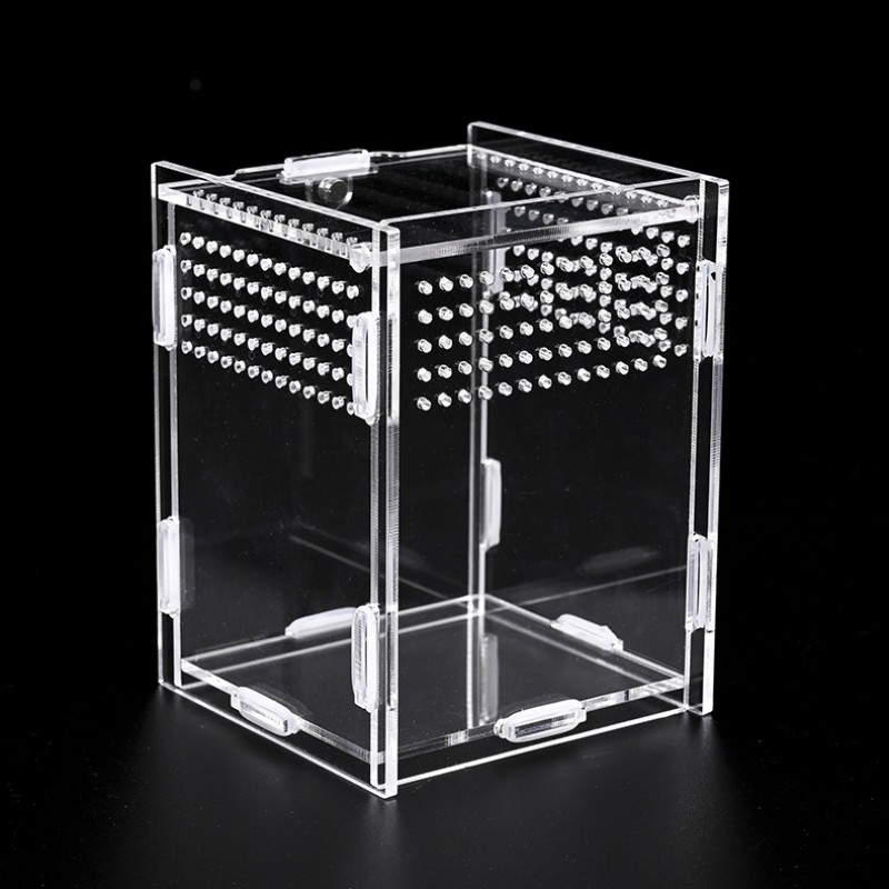 Acrylic Reptile Enclosure Supplier - Display Case Spider Cage