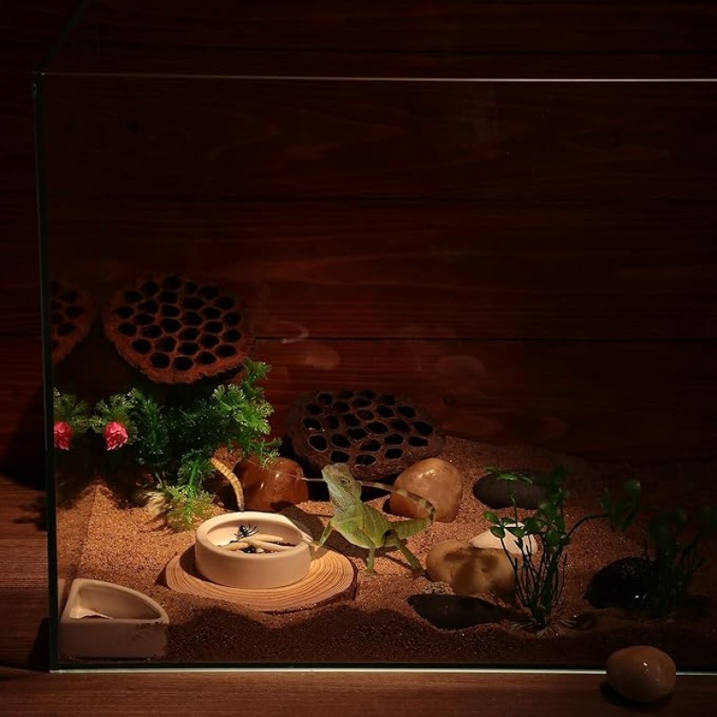 Reptile Dish Set Manufacturer - Anti Slip Feeding Bowl Hideout