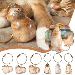 Pet Memorial Keychain Supplier - Fur Collection Case Custom