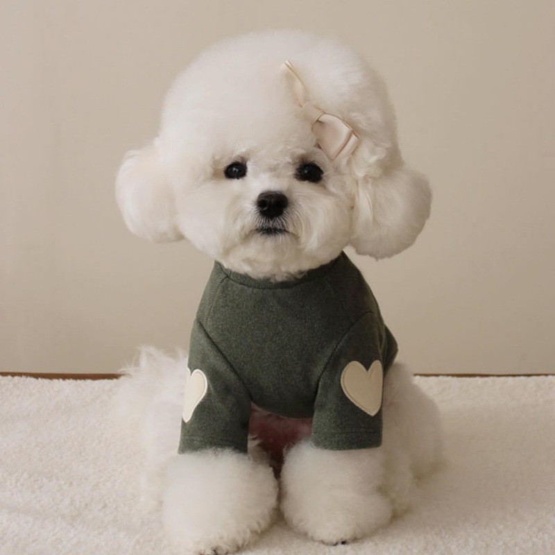 Dog Coat Manufacturer - Fashion Winter Vest Hoodie