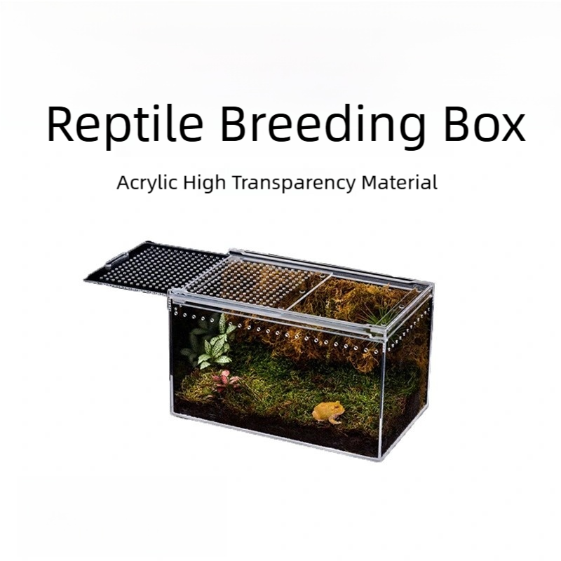 Tarantula Enclosure Factory - Magnetic Acrylic Display Box