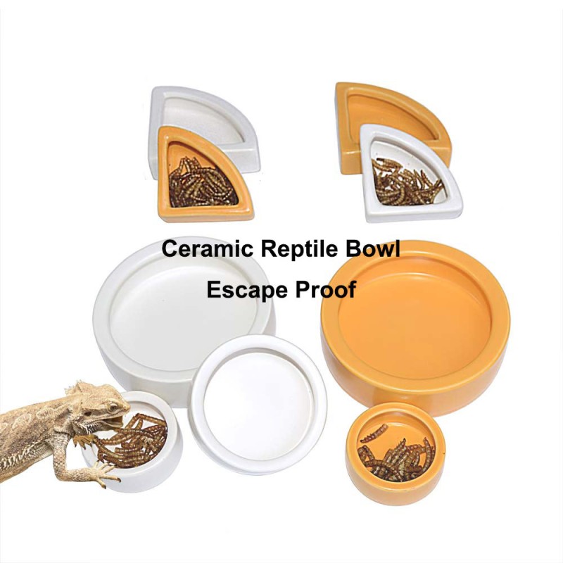 Reptile Food Bowl Factory - Ceramic Anti Escape Feeder