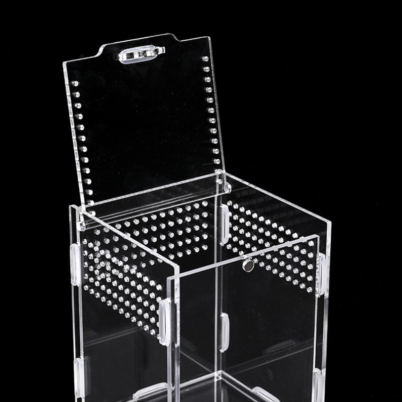 Acrylic Reptile Enclosure Supplier - Display Case Spider Cage