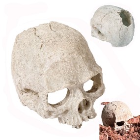 Aquarium Decoration Manufacturer - Skull Cave Hide House