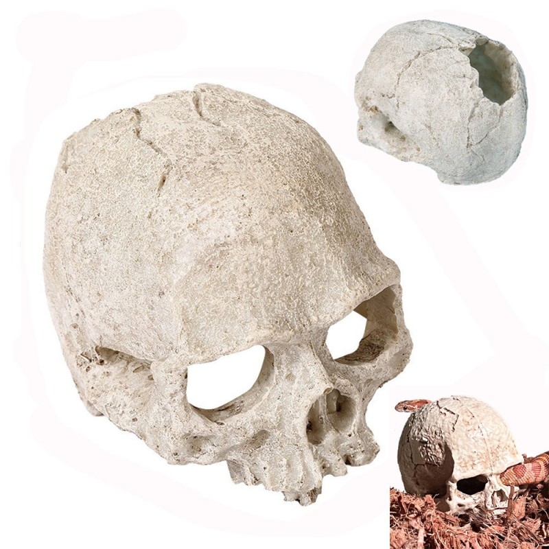 Aquarium Decoration Manufacturer - Skull Cave Hide House