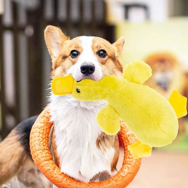 Dog Slow Feeder Supplier - Duck Squeaky Interactive