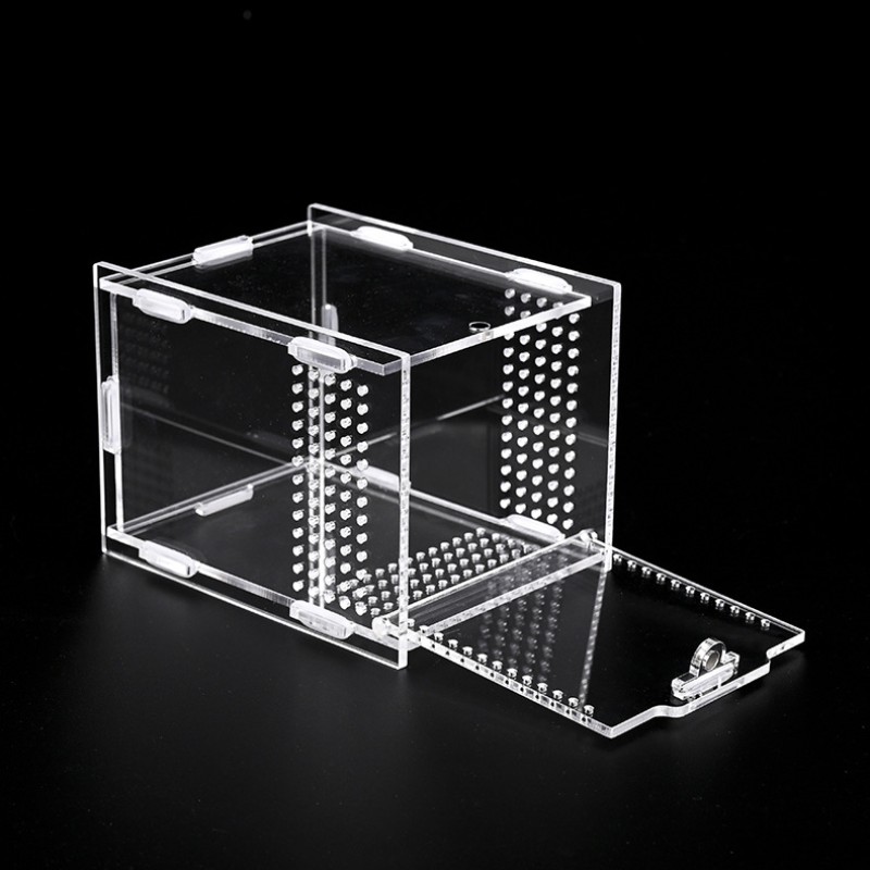 Acrylic Reptile Enclosure Supplier - Display Case Spider Cage