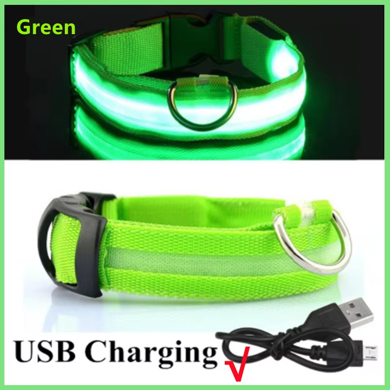 Dog Collar Supplier - Light Up USB Rechargeable