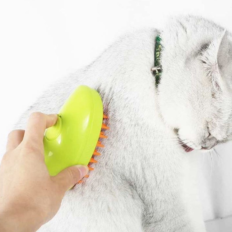 Pet Massage Brush Supplier - 3 in 1 Rechargeable Steamy