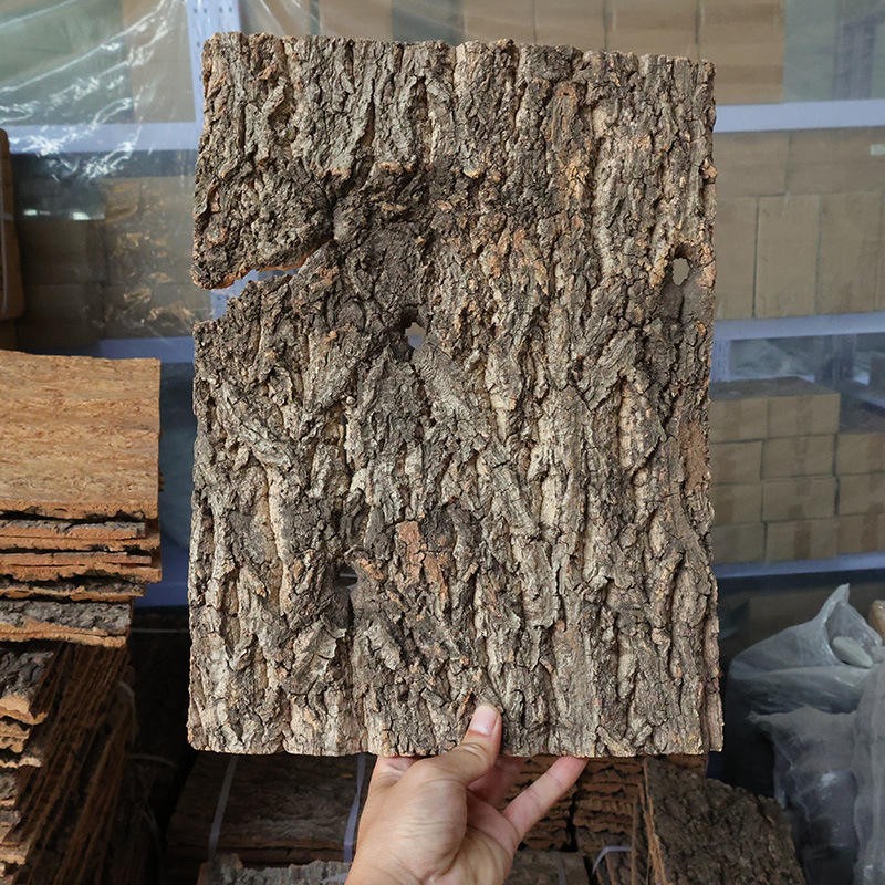 Reptile Cork Background Supplier - Natural Bark Terrarium