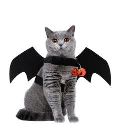 Pet Bat Wing Supplier - Polyester Collar Holiday Decoration