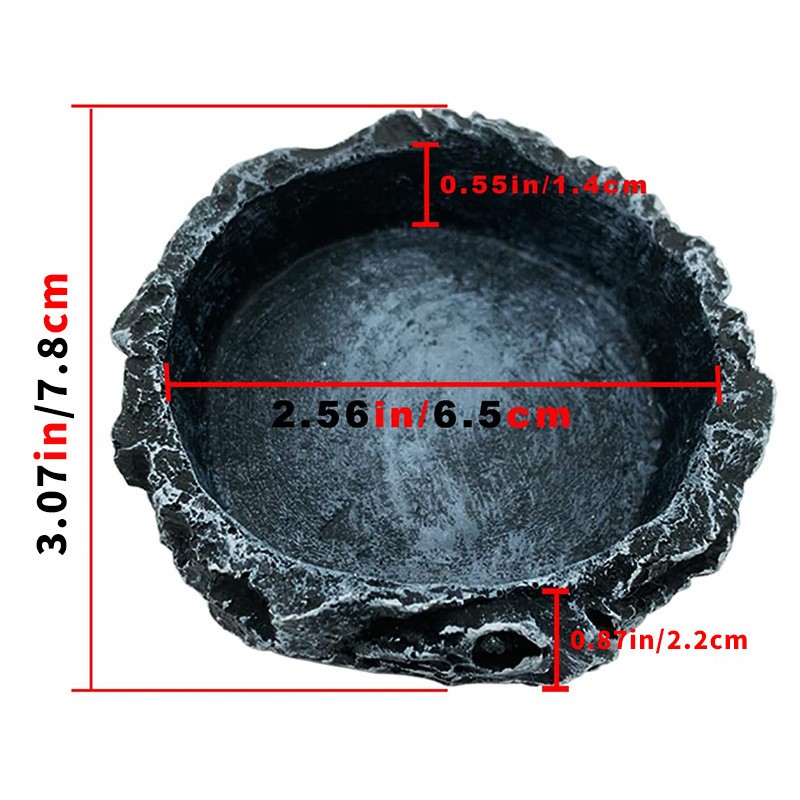 Reptile Feeding Dish Manufacturer - Multi Species Terrarium