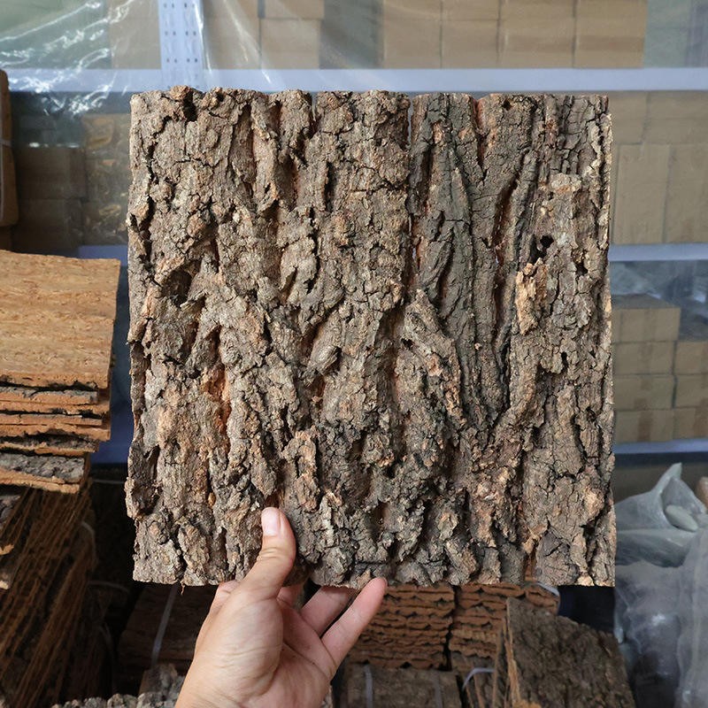 Reptile Cork Background Supplier - Natural Bark Terrarium