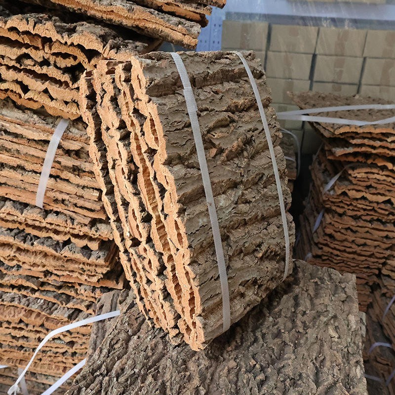 Reptile Cork Background Supplier - Natural Bark Terrarium