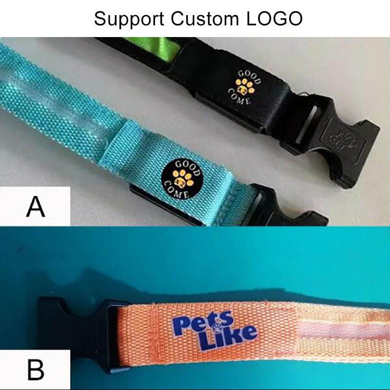 Dog Collar Supplier - Light Up USB Rechargeable