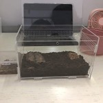 Reptile & Amphibian Supplies