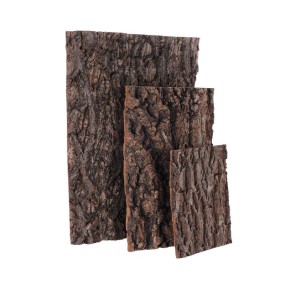 Reptile Cork Background Supplier - Natural Bark Terrarium