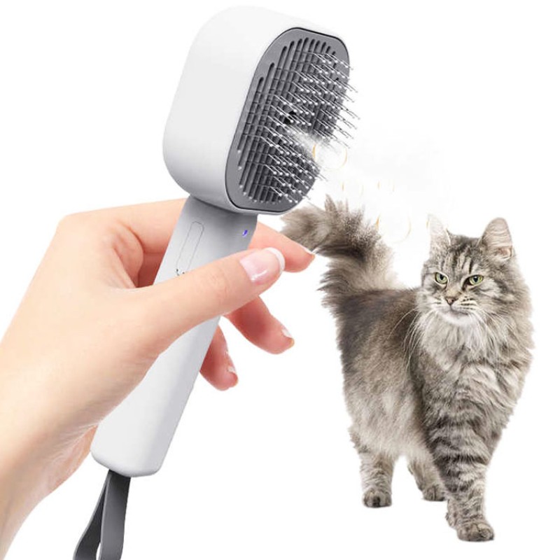 Cat Steam Brush Manufacturer - USB Rechargeable Spray