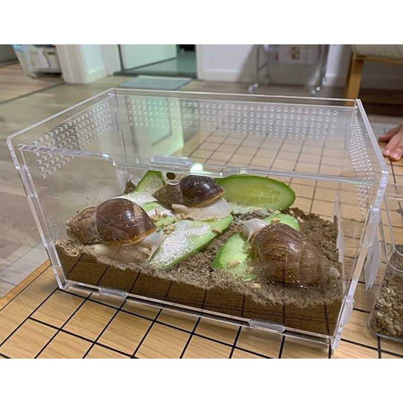 Magnetic Habitat Manufacturer - Stackable Acrylic Ecosystem