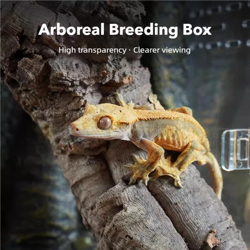 Tarantula Enclosure Factory - Magnetic Acrylic Display Box