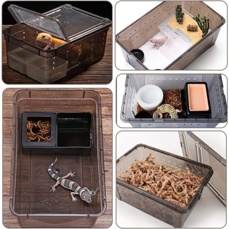 Reptile Breeding Box Supplier - Stackable Ventilated Plastic