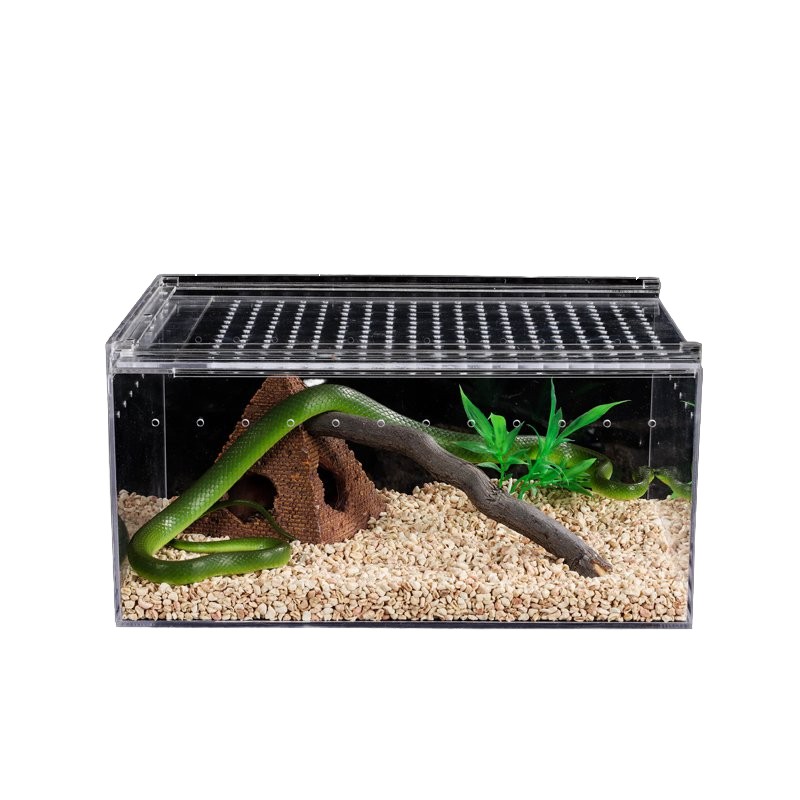 Tarantula Enclosure Factory - Magnetic Acrylic Display Box
