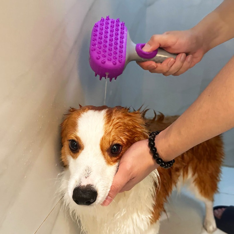 Pet Bath Brush Manufacturer - 3 in 1 Hair Remover Massage