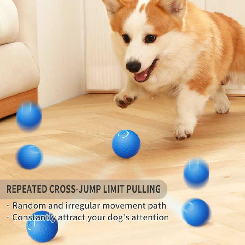 Pet Training Ball Factory - Electric Bouncing Interactive